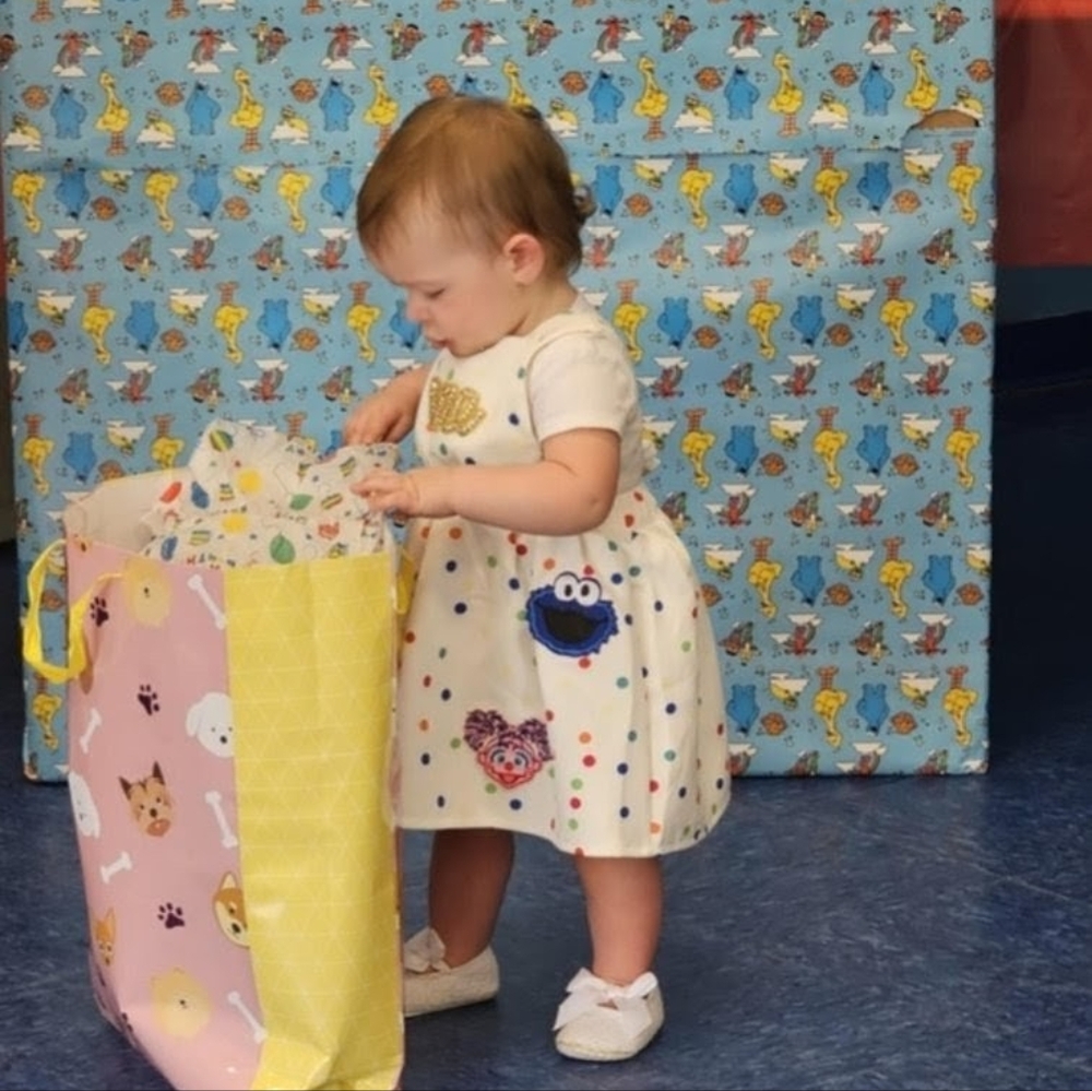 Elmo Dress Smash Cake First Birthday Cookie Monster Clothes Sesame Street Abby - Picture 5 of 6